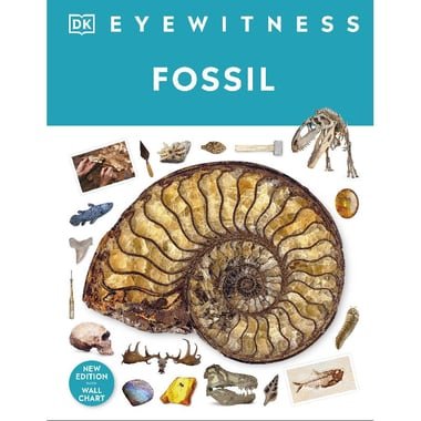 DK Eyewitness: Fossil