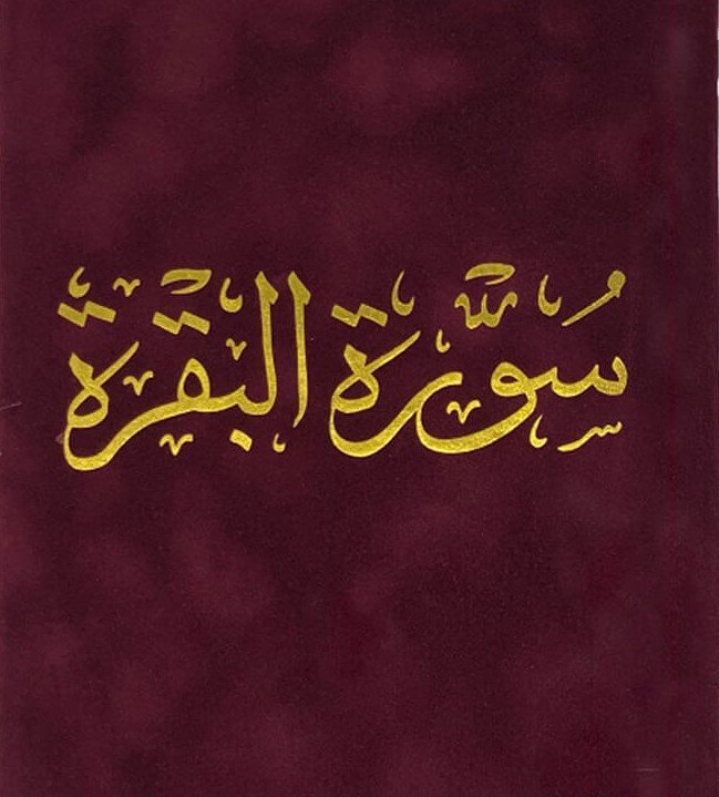 البقرة مخمل عنابي كبير ١٧*٢٤ سم