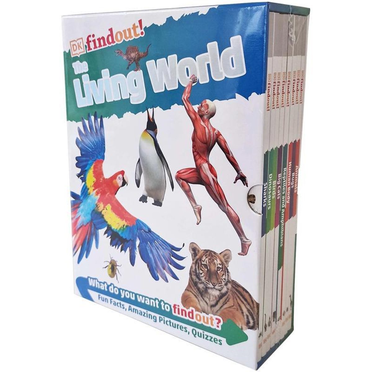 The Living World 8 Books Set (DK Find Out!) - What Do You want to Find Out! Fun FactsAmazing PicturesQuizzes