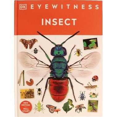 Insect (DK Eyewitness) - with Wall Chart