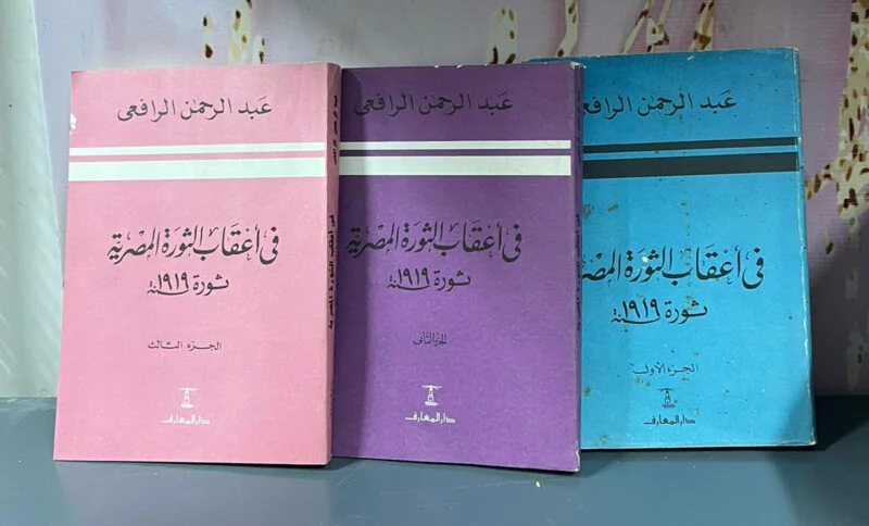 فى أعقاب الثورة المصرية1/3