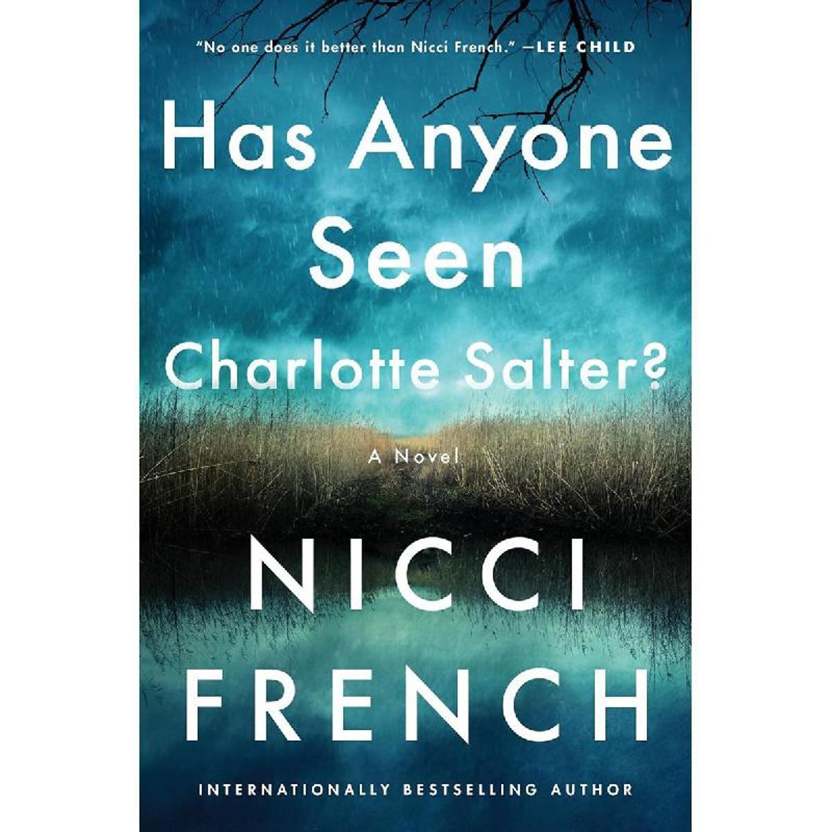 Has Anyone Seen Charlotte Salter - A Novel