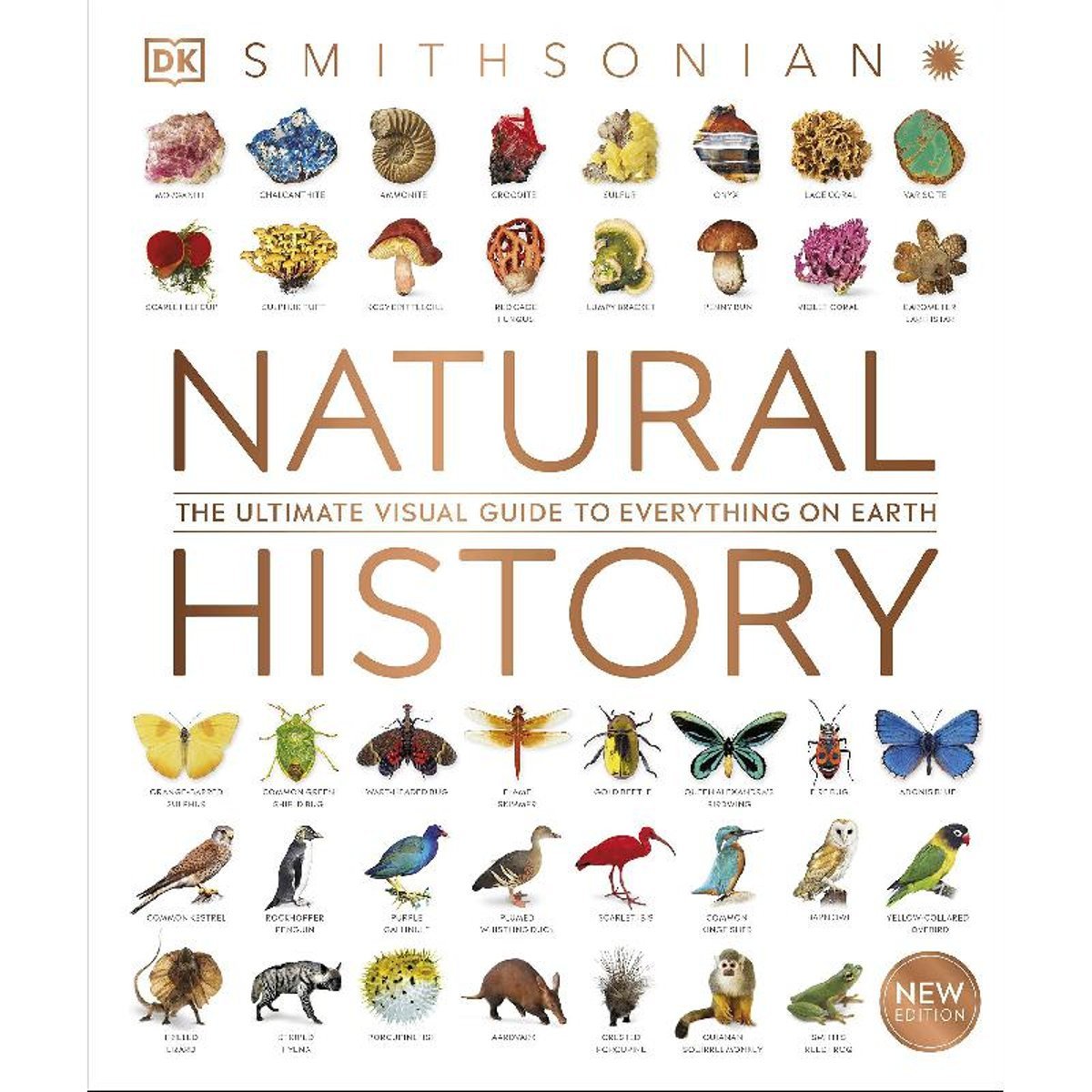 Natural History - The Ultimate Visual Guide to Everything on Earth