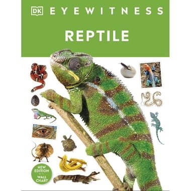 DK Eyewitness: Reptile