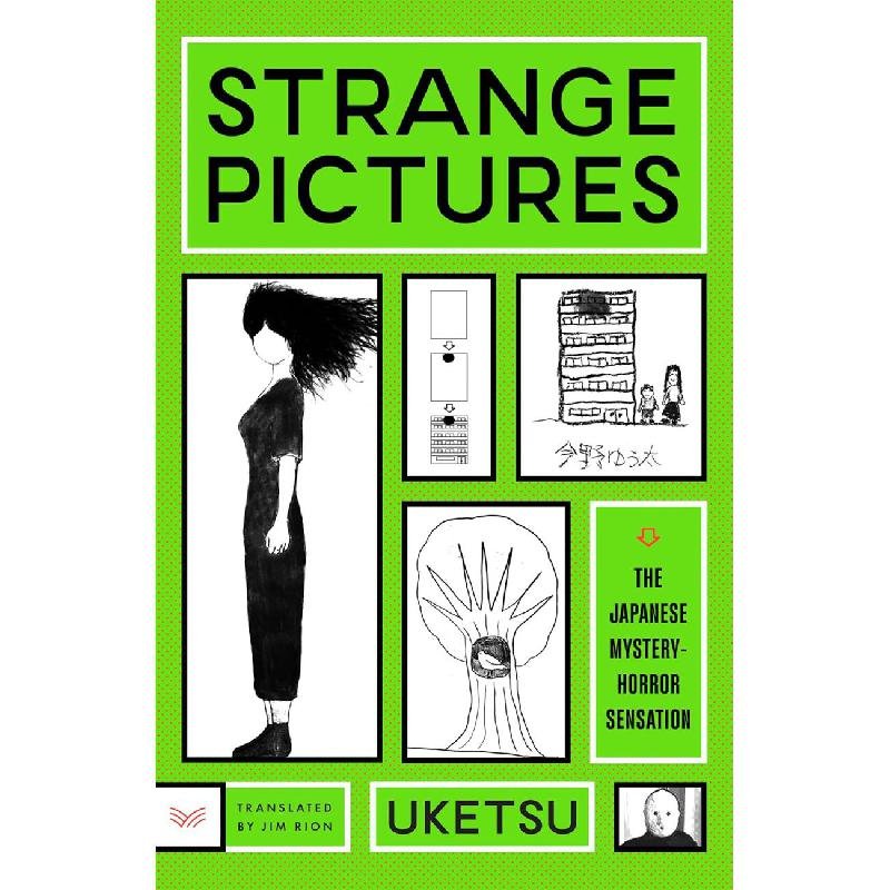 Strange Pictures ‎-‎ A Novel‎