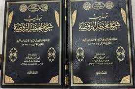 تهذيب شرح مختصر الروضه 1/3