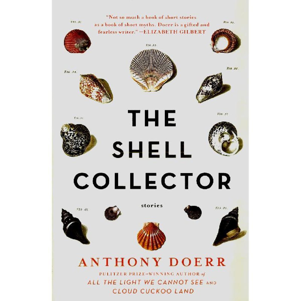 The Shell Collector