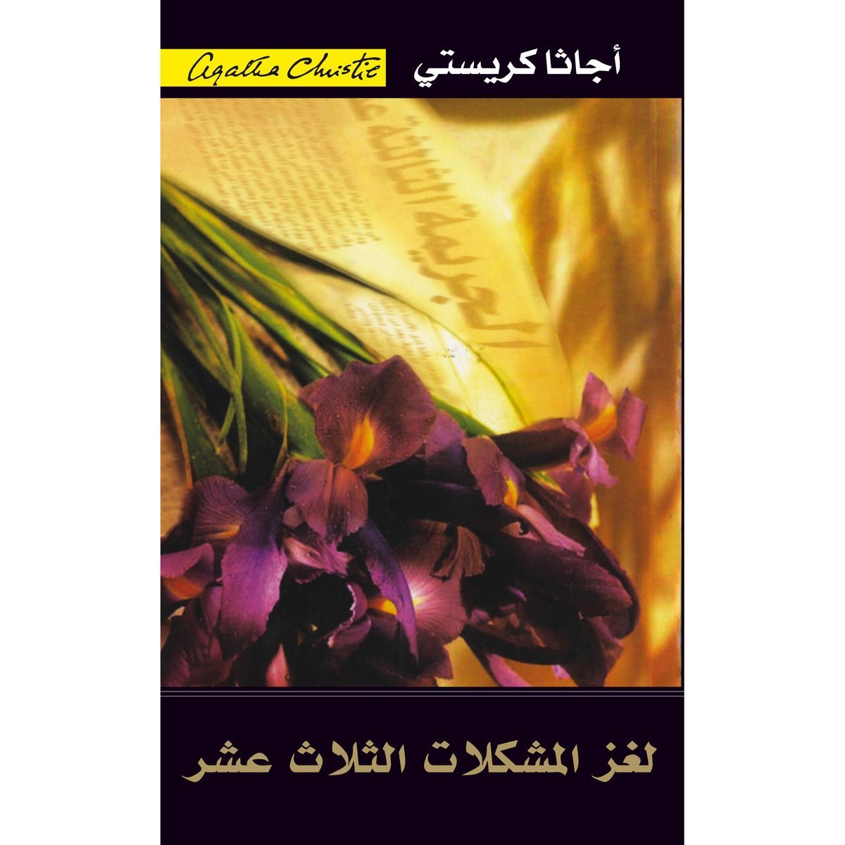 لغز المشكلات الثلاث عشرة‎