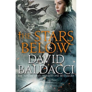 The Stars Below  Book 4 (Vega Jane)