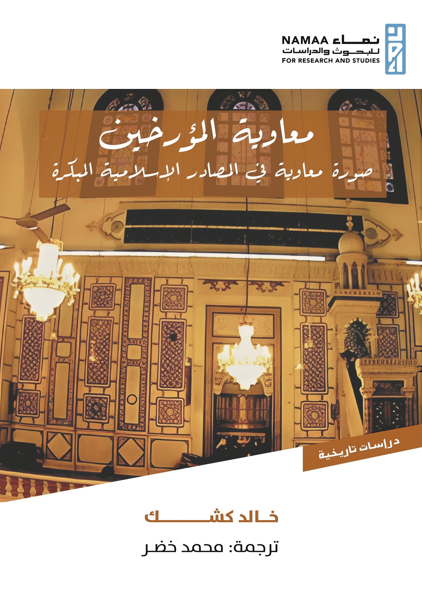 معاوية المؤرخين