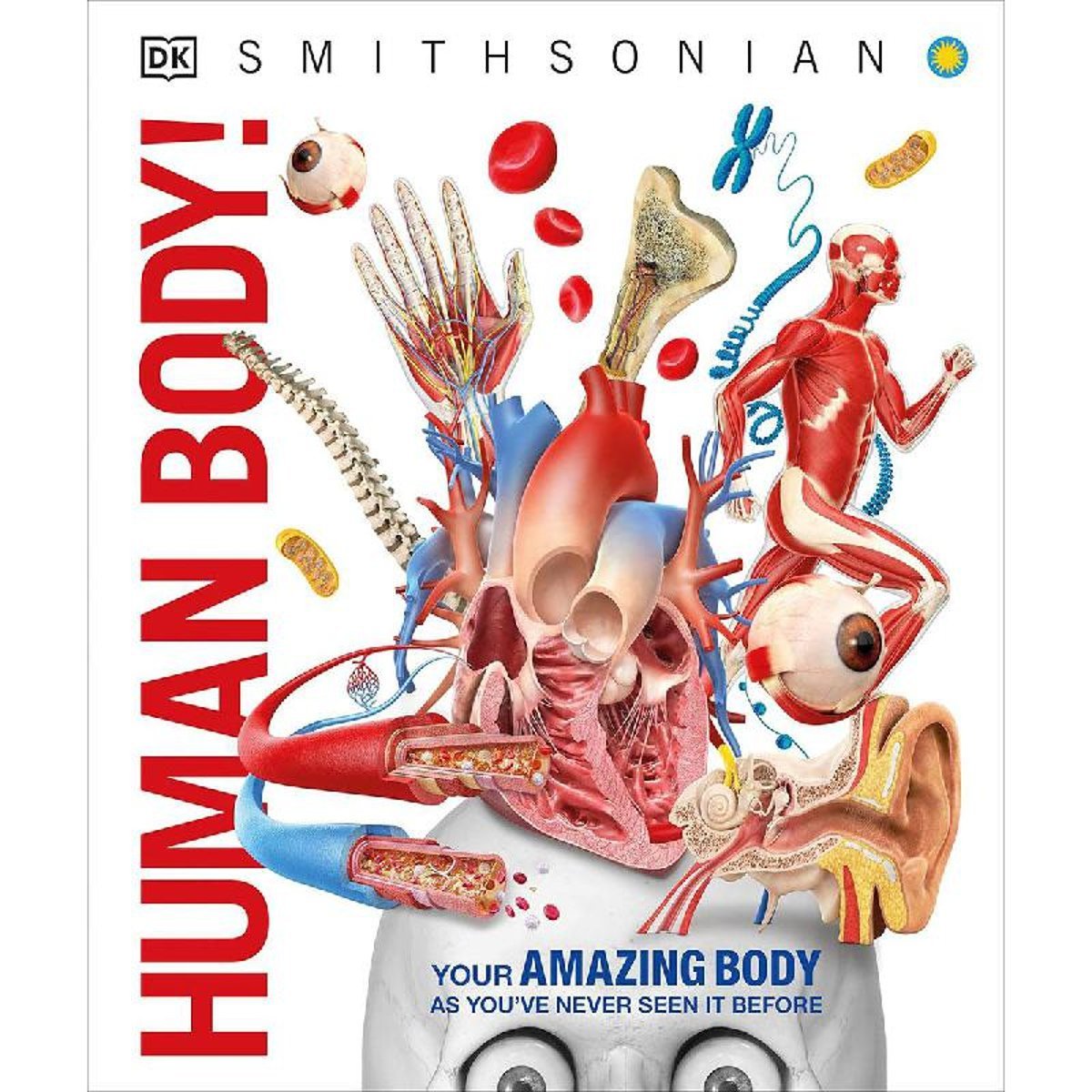 Human Body!