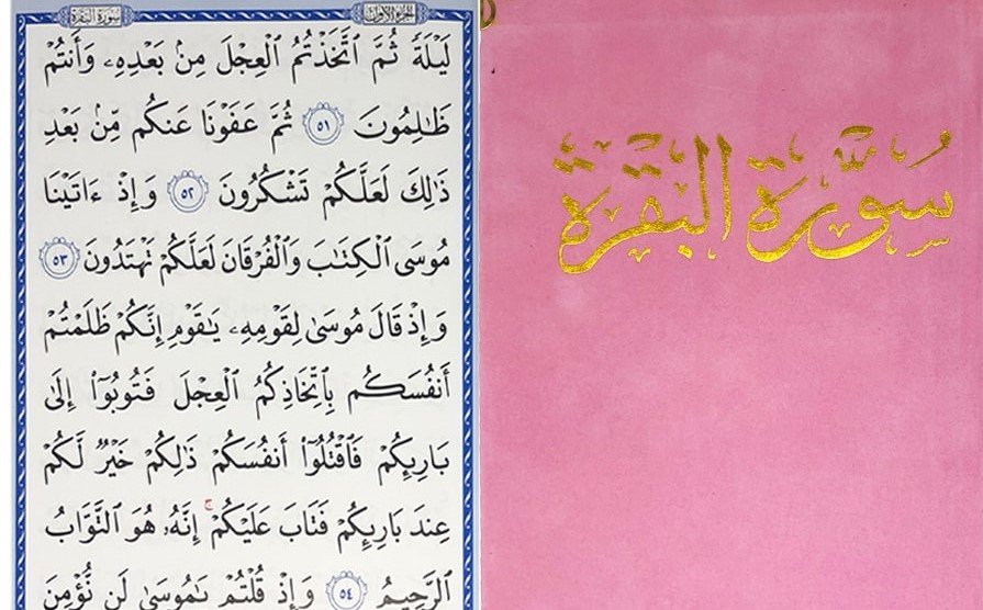 البقرة مخمل وردى