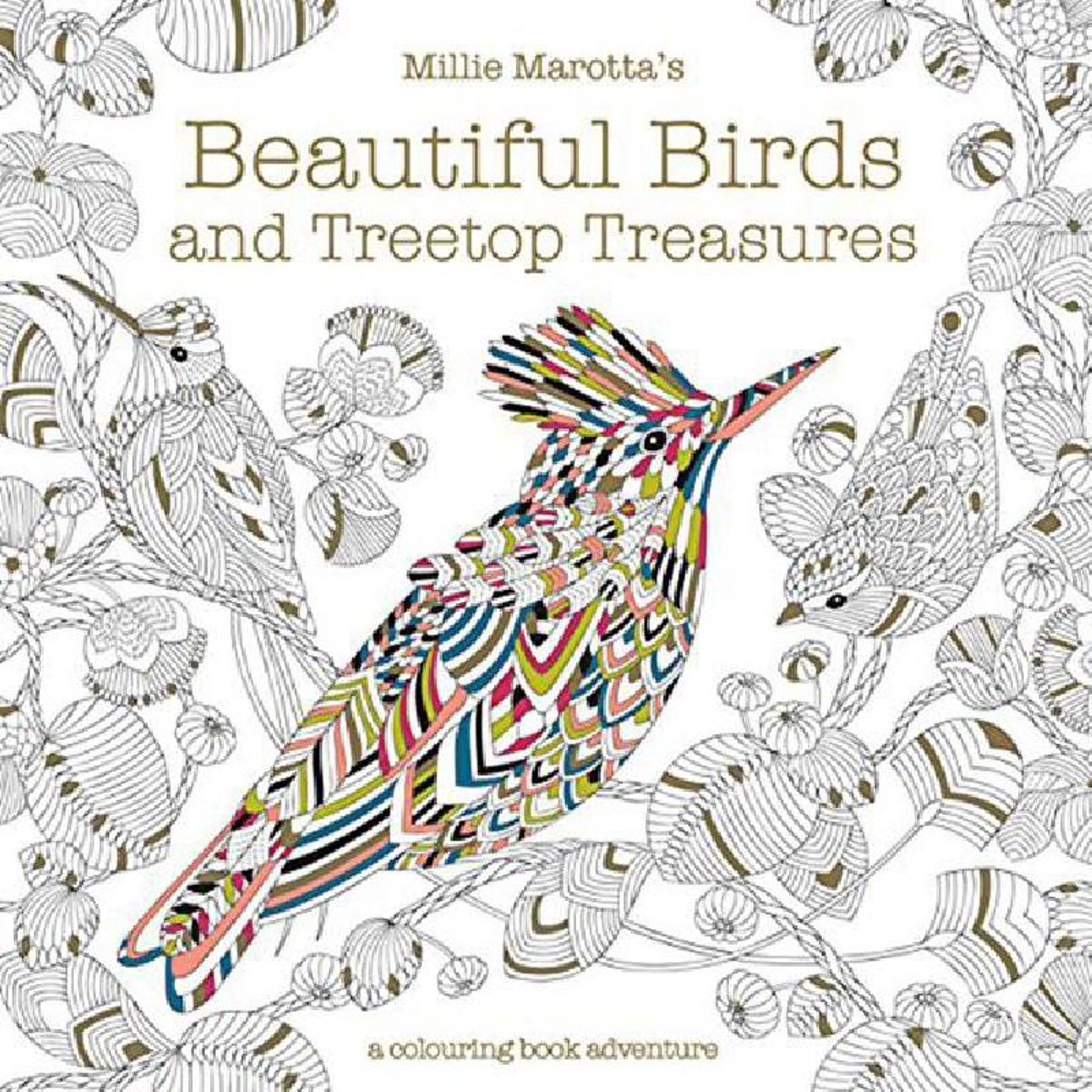 Millie Marotta's Beautiful Birds and Treetop Treasures - A Colouring Book Adventure