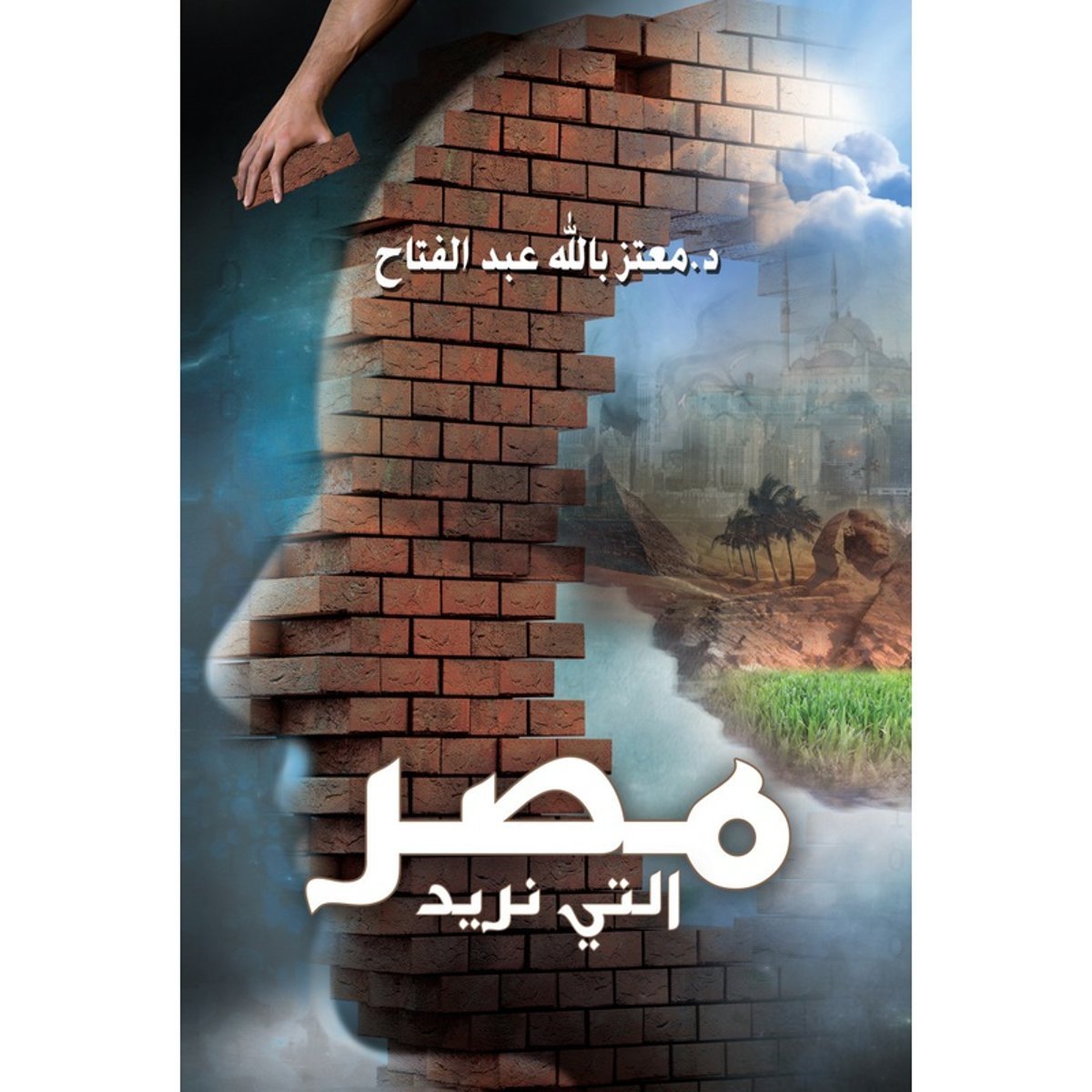 مصر التي نريد